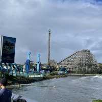 Brisbane & gold coast Sea world 하루종일 놀기