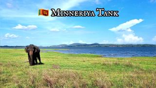 🇱🇰 Minneriya Tank