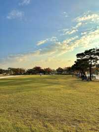 자연을 느끼기 완벽한 여유로운 공원 익산 미륵사지🌳