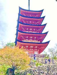 【広島観光】安芸の宮島のベストシーズンすぐそこ❣️