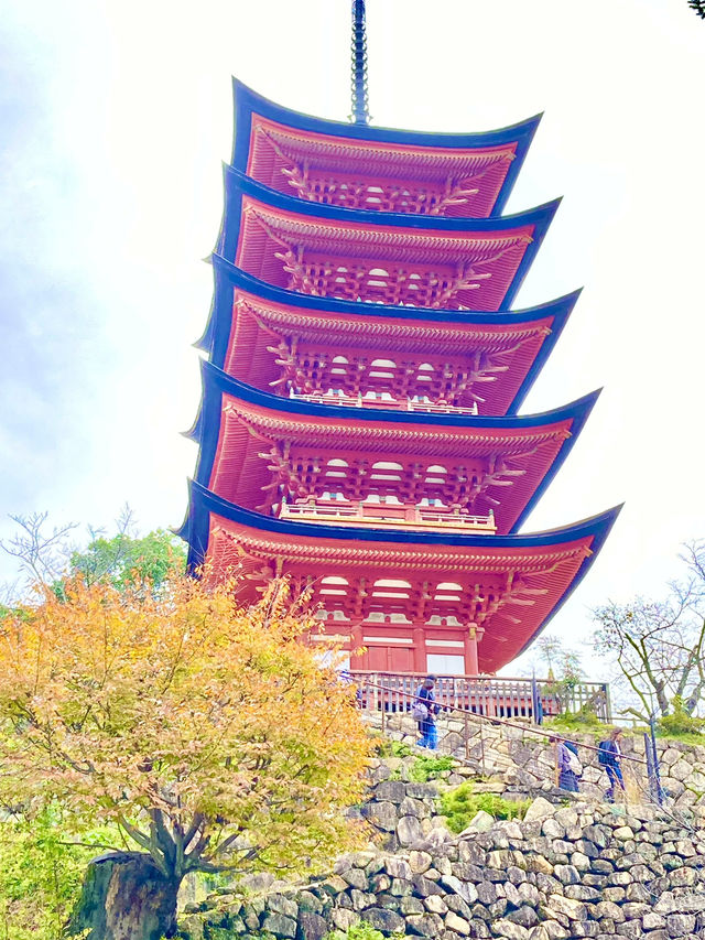 【広島観光】安芸の宮島のベストシーズンすぐそこ❣️