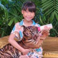 Safari World Bangkok