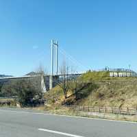Pocheon Hantangang River Sky Bridge: A Scenic Walk Above the River 🇰🇷