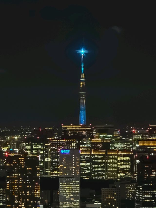 【東京/日本1美しい展望台】チケット入手困難💦絶対1度は見たい、東京の夜景🌃