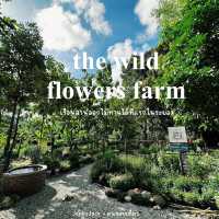 #ร้านปาฎี #คาเฟ่ระยอง #มุมใหม่ของร้าน #thewildflow