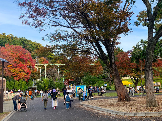 สวนสัตว์และพฤกษศาสตร์ฮิงาชิยามา 東山動植物園
