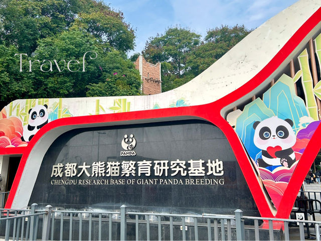 it's PANDA time !!!
