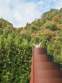 【秋の奈良ドライブにおすすめ】室生山上公園芸術の森