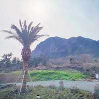 산방산 앞 멕시코 컨셉 카페 엘파소