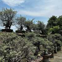 Historical Charm at Baluarte de San Diego
