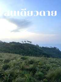 สนเดียวดาย แลนด์มาร์คบนดอยหลวงตาก⛰️