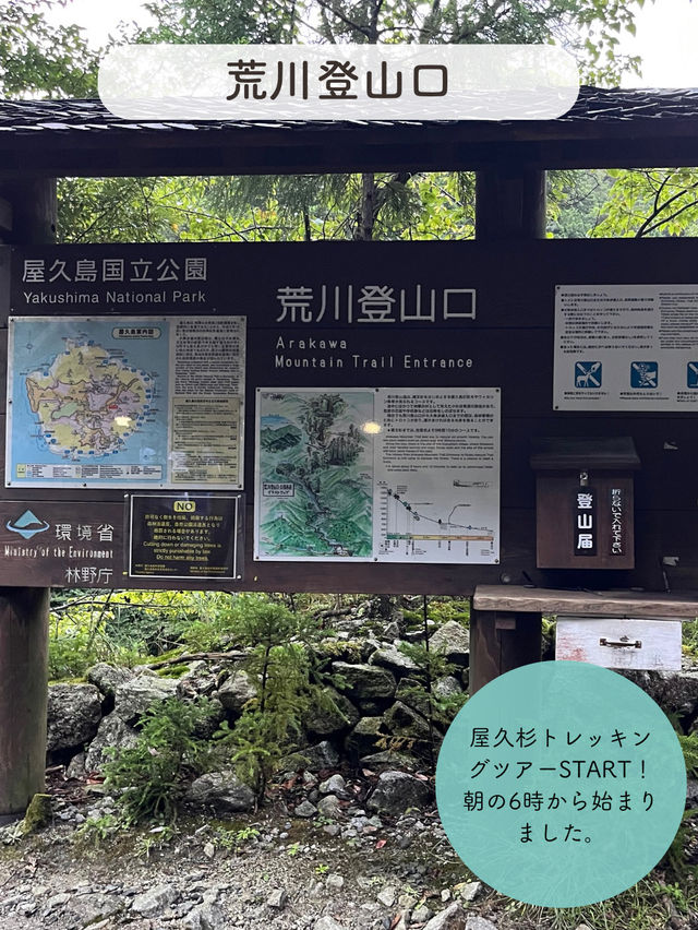 【屋久島】縄文杉を見にいくトレッキングツアーに参加した時の記録