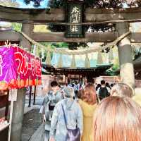 【関東】毎朝限定20体！？縁結び玉をもらいに川越氷川神社へ⛩