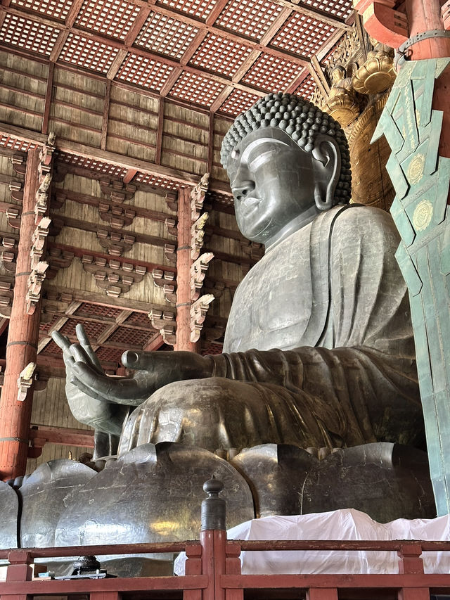 【東大寺大仏殿】