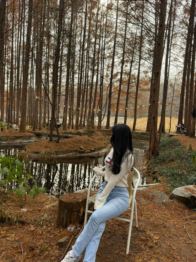 인스타 핫플 숲 속 카페 ‘메타포레스트’ 