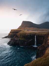 Waterfalls, and Sheep Staring Contests: A Day in the Faroe Islands