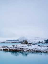 Top 3 Reasons to Visit Lake Tekapo, New Zealand