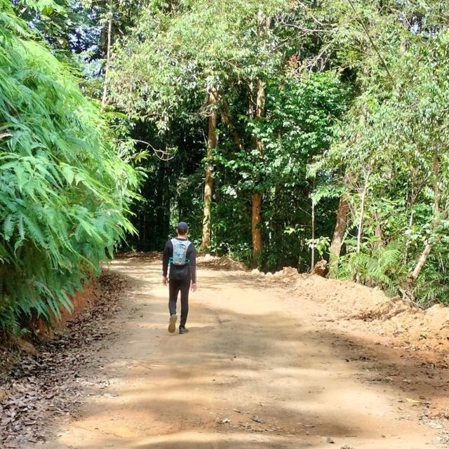 ภูตาจอ กะปง จ.พังงา