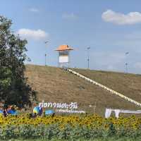 ทุ่งทานตะวันอ่างเก็บน้ำดอกกราย