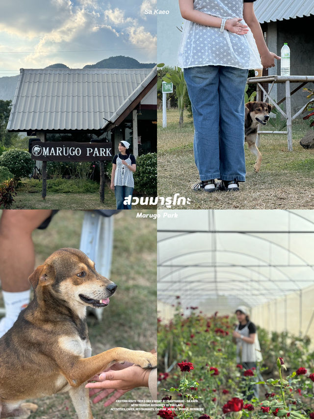 21 พิกัดเที่ยวจันทบุรี-สระแก้ว 🏡⛰️🌼🌿