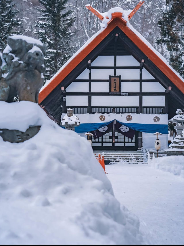 【冬の定山渓】雪の絶景と温泉を堪能