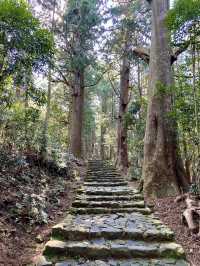 【和歌山旅行】那智勝浦／那智山青岸渡寺で自然を満喫