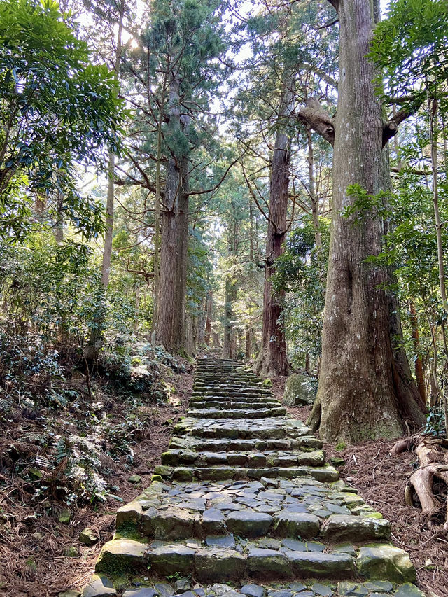 【和歌山旅行】那智勝浦／那智山青岸渡寺で自然を満喫