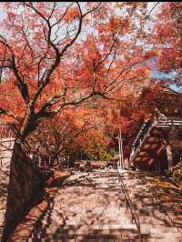 【奈良の談山神社】紅葉と歴史の絶景に感動間違いなし！