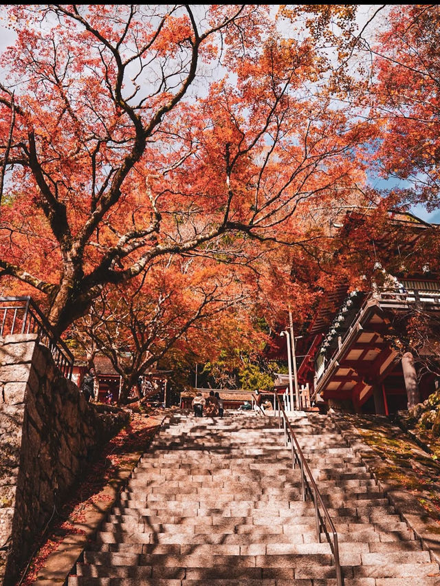 【奈良の談山神社】紅葉と歴史の絶景に感動間違いなし！