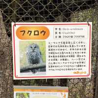 動物に癒されよう！のんほいパーク(豊橋総合動植物公園）