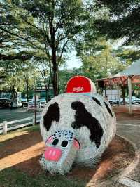 Chokchai Farm