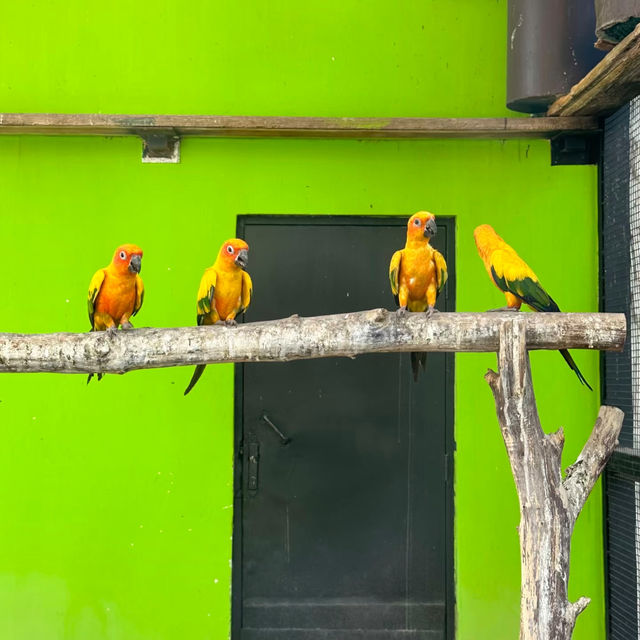 台北市立動物園：動物王國之旅 🦁🌿