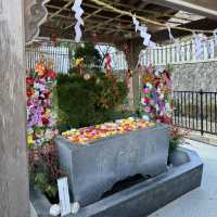 【宮城県】金蛇水神社