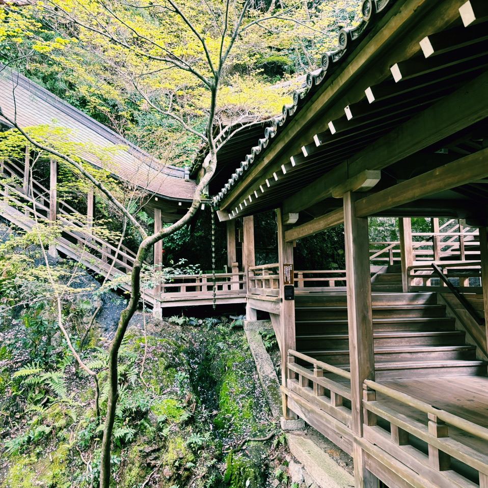 銀閣寺：京都文化的靜謐典範｜Trip.com 京都
