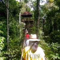 สะพานเรือนยอดไม้ จ.ตรัง