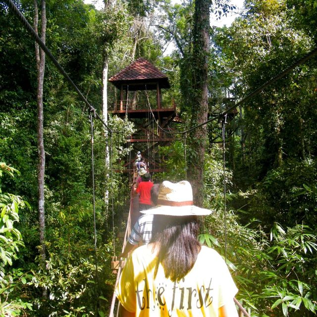 สะพานเรือนยอดไม้ จ.ตรัง