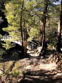 Orongorongo Track