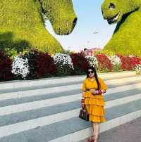 🌸 A Blooming Paradise: Dubai Miracle Garden 🌸