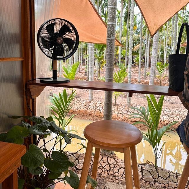 🥨 ฌาณหมาก Coffee & Farm