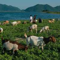 “ปราณบุรี”มุมนี้ทั้งสวยทั้งชิลฟีลตปทมากกก🐑🏞🐐 