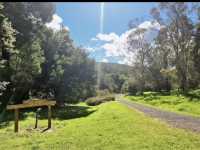 Tasmanian Arboretum