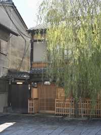 【京都｜祇園】京都らしい町並みを歩きたいなら花見小路通や祇園白川へいってみよう