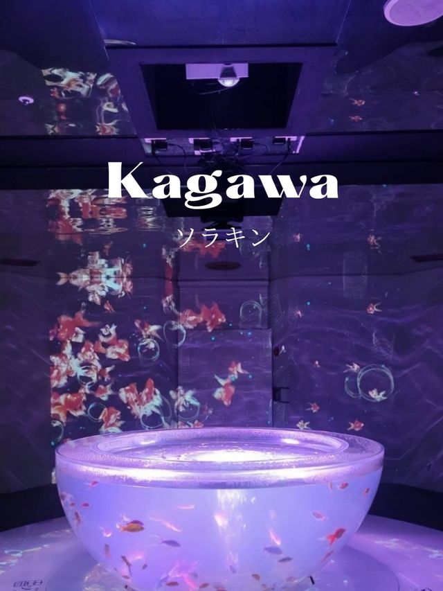 【空に舞う金魚の世界】