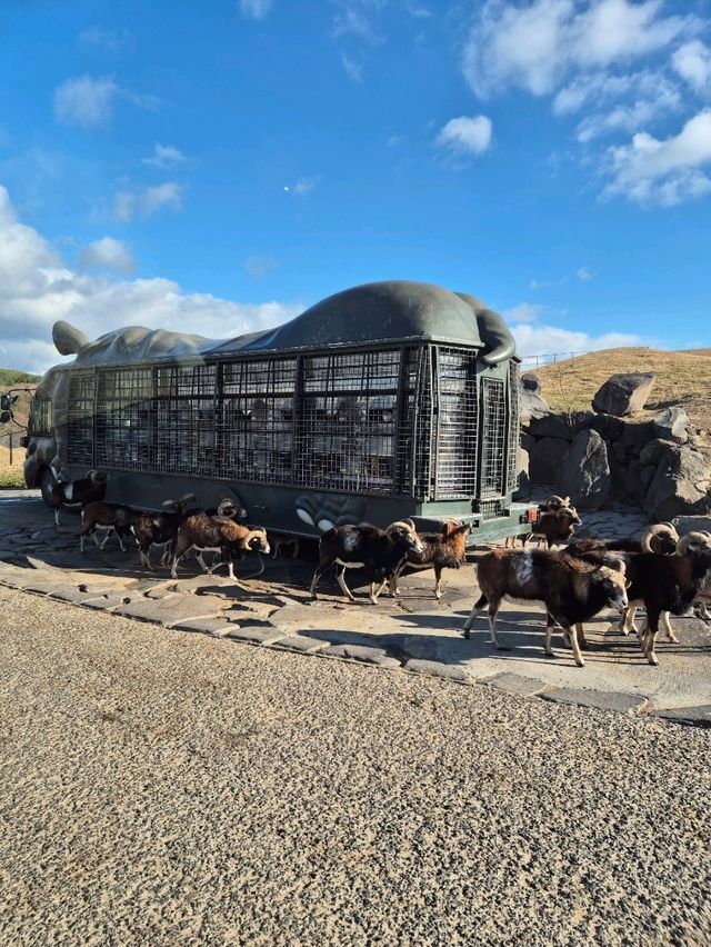Kyushu Wildlife African Safari 🐆🐃🦬🦌🦓🐘🦒