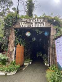 The Lodge Maribaya: Where Views Meet Thrills