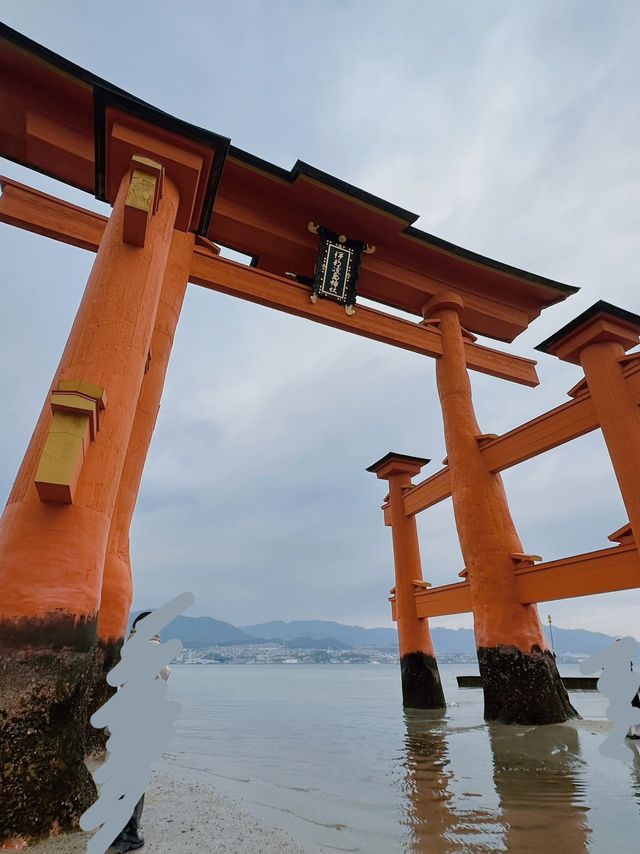 【宮島】広島で行くならココ‼️必ず行きたいスポット3選✨