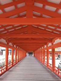 【広島】一生に一度は行きたい✨厳島神社