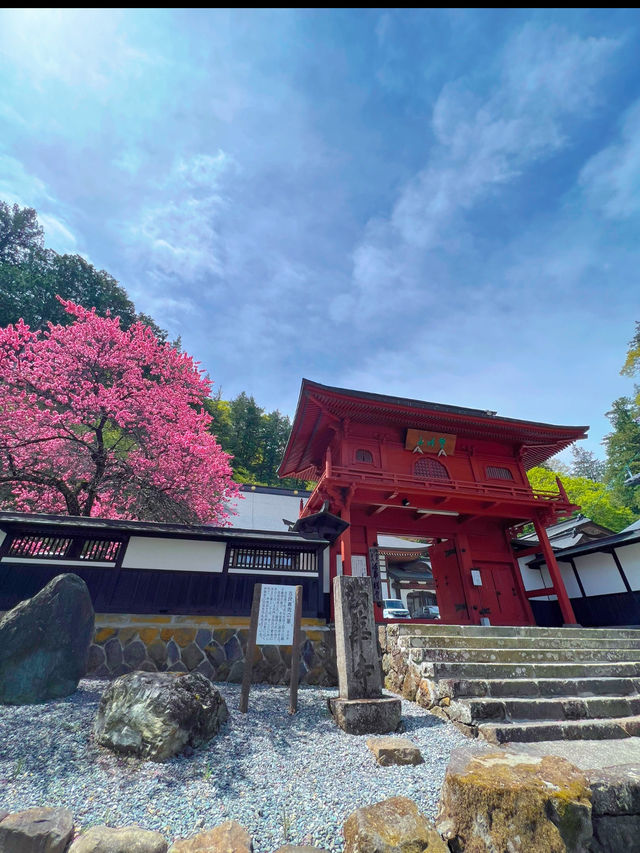 【長野】景色が最高なお寺