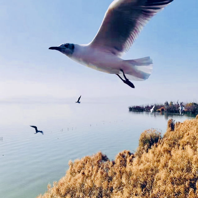 Kunming: The Destination You Didn't Know You Needed