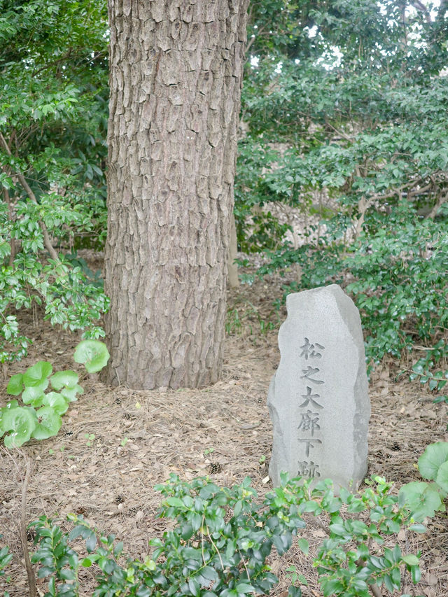 📍 皇居東御苑/東京